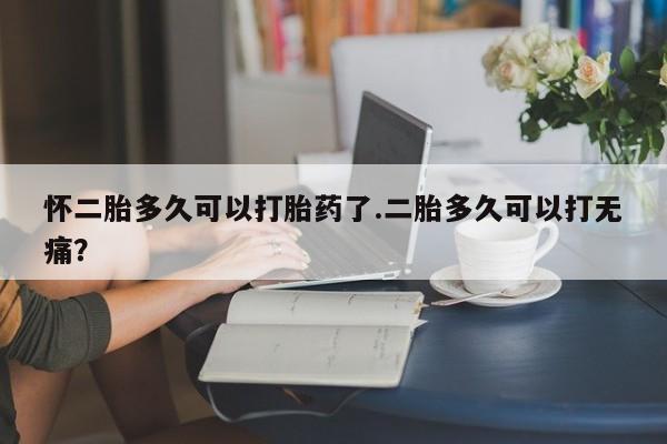 网上打胎药私人店,打胎药专卖怀二胎多久可以打胎药了.二胎多久可以打无痛？