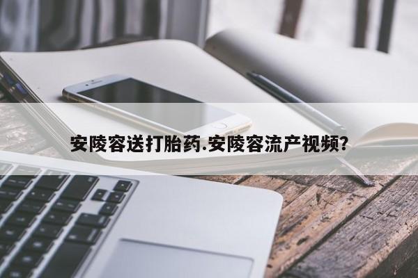 网上打胎药私人店,打胎药专卖安陵容送打胎药.安陵容流产视频？