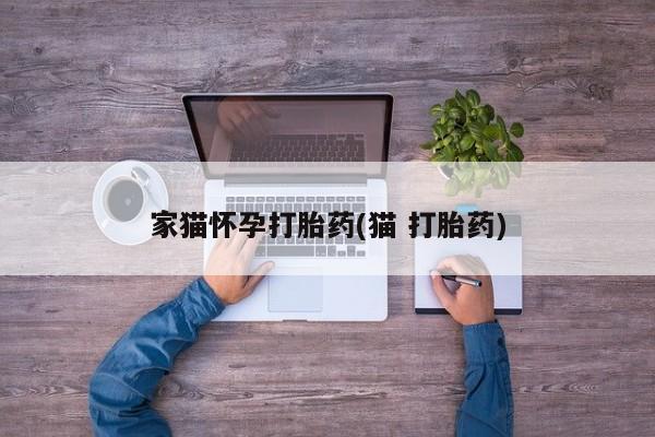 网上打胎药私人店,打胎药专卖家猫怀孕打胎药(猫 打胎药)
